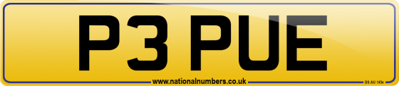 P3 PUE