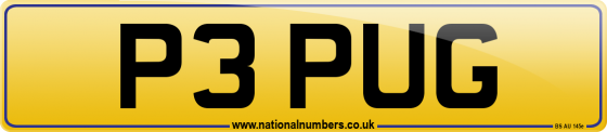 P3 PUG