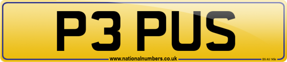 P3 PUS