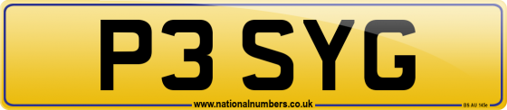 P3 SYG