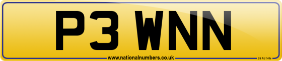 P3 WNN