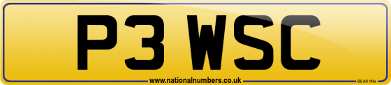 P3 WSC