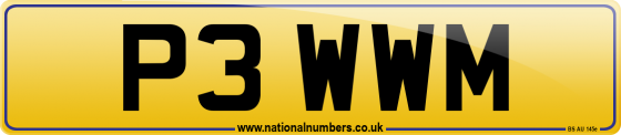 P3 WWM