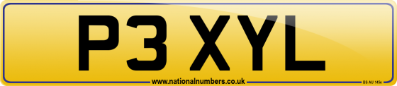 P3 XYL