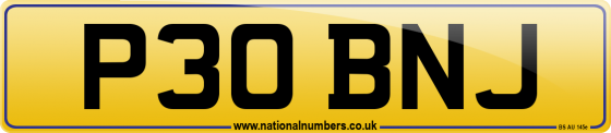 P30 BNJ