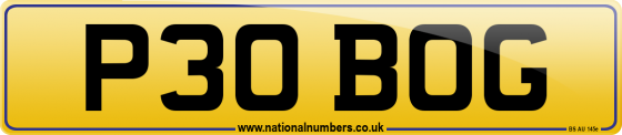 P30 BOG