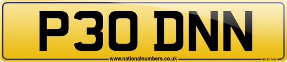 P30 DNN