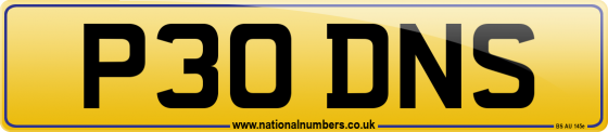 P30 DNS