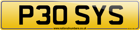 P30 SYS