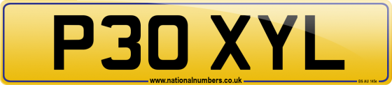 P30 XYL