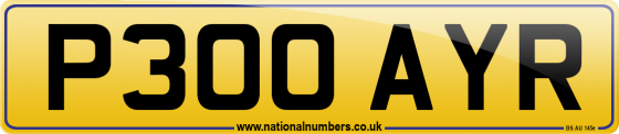 P300 AYR