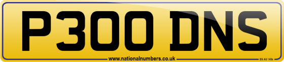P300 DNS