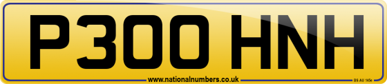 P300 HNH