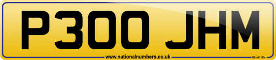 P300 JHM