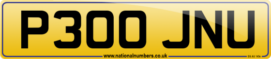 P300 JNU