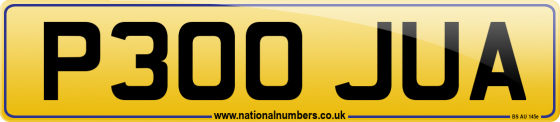 P300 JUA