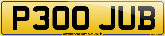 P300 JUB