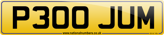 P300 JUM