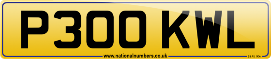 P300 KWL