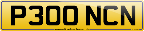 P300 NCN