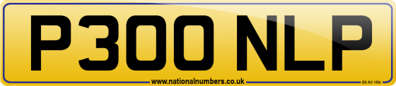 P300 NLP