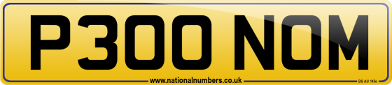 P300 NOM