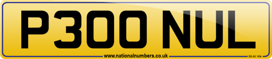 P300 NUL