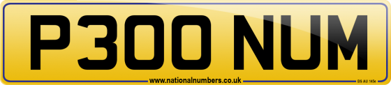 P300 NUM