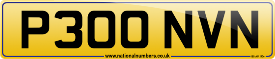 P300 NVN