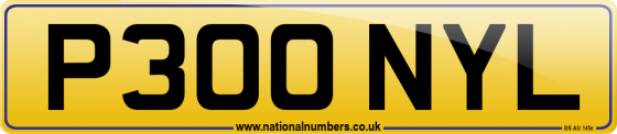 P300 NYL