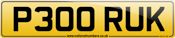 P300 RUK