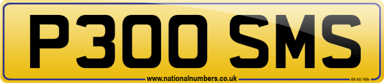P300 SMS