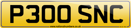 P300 SNC