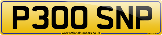 P300 SNP