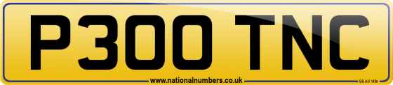 P300 TNC