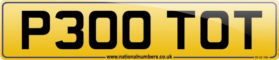 P300 TOT