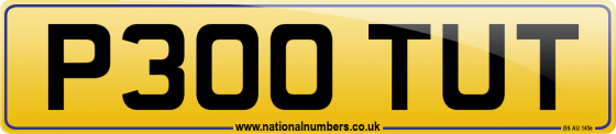 P300 TUT