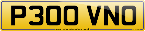P300 VNO
