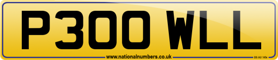 P300 WLL