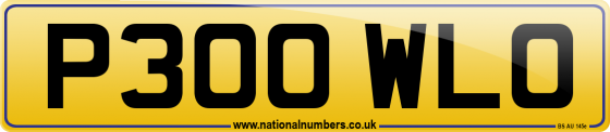 P300 WLO
