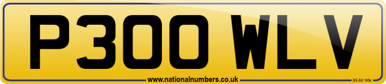 P300 WLV