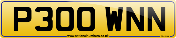 P300 WNN