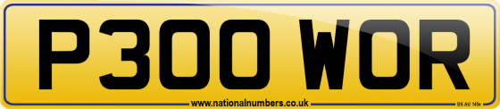 P300 WOR