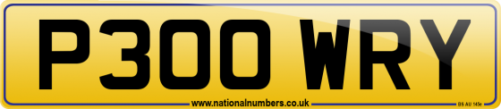 P300 WRY