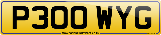 P300 WYG