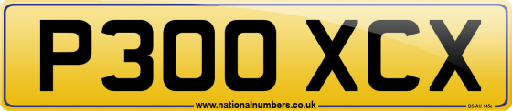 P300 XCX