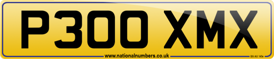 P300 XMX