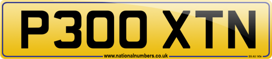 P300 XTN