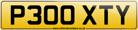 P300 XTY