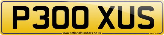 P300 XUS